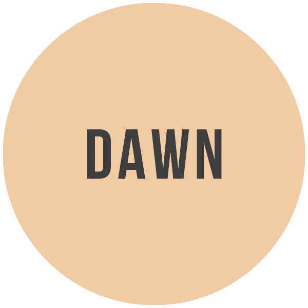 Mineral Foundation Powder