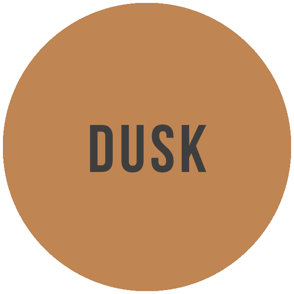 Mineral Foundation Powder
