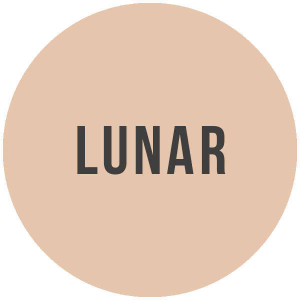 Mineral Foundation Powder