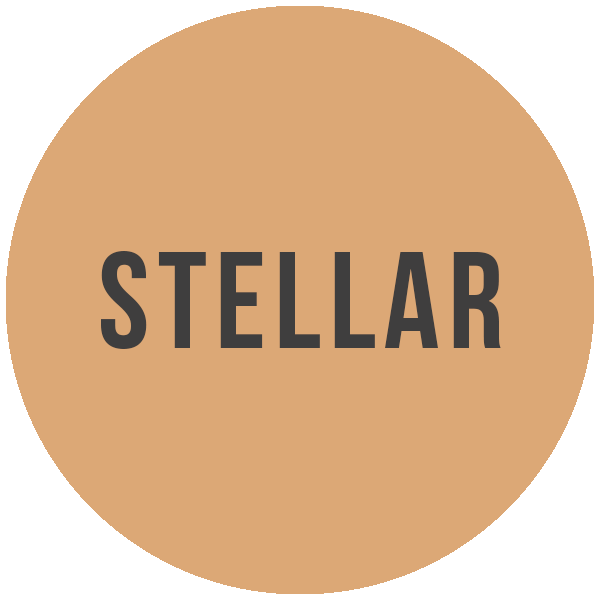 Mineral Foundation Powder