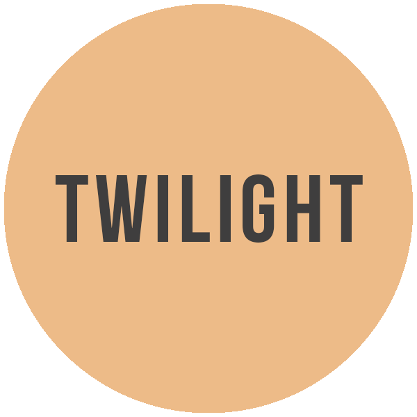 Mineral Foundation Powder